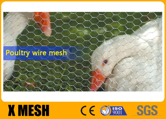 Edelstahl-Maschendraht-Zaun Poultry Netting der Säurebeständigkeits-20Ga