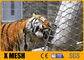 7X19 Art SS316L-Zoo-Draht Mesh For Animal Enclosures Rustproof