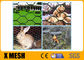 Leinwandbindungs-Geflügel-Mesh Netting Chicken Wire Mesh-Zaun 1.5m x 25m